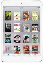 iPad eBooks